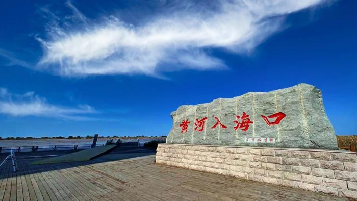 △黃河入?？谖挥谏綎|東營(yíng)市墾利區(qū)。(總臺(tái)央視記者彭漢明拍攝)