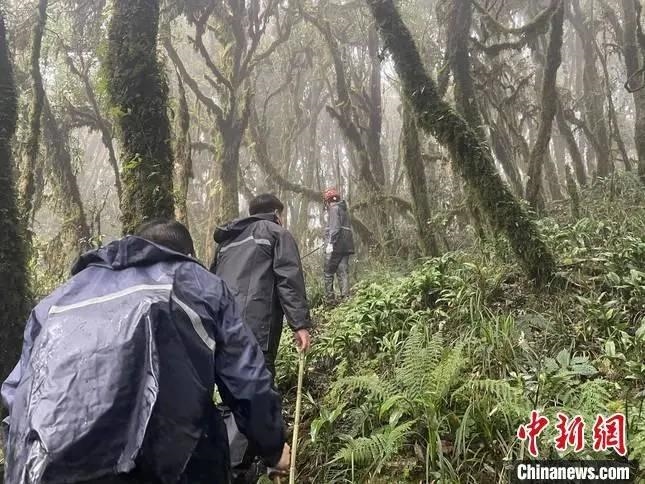 圖為救援現(xiàn)場。鎮(zhèn)沅縣委宣傳部提供