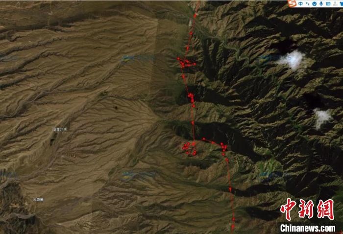 圖為雪豹故地重游來(lái)到放歸地的足跡。　內(nèi)蒙古賀蘭山國(guó)家級(jí)自然保護(hù)區(qū)供圖