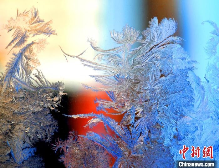 冰窗花千姿百態(tài)?！O書程 攝