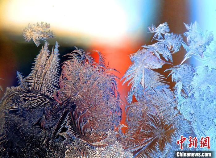 惟妙惟肖的冰窗花，似一幅風(fēng)景畫。　孫書程 攝