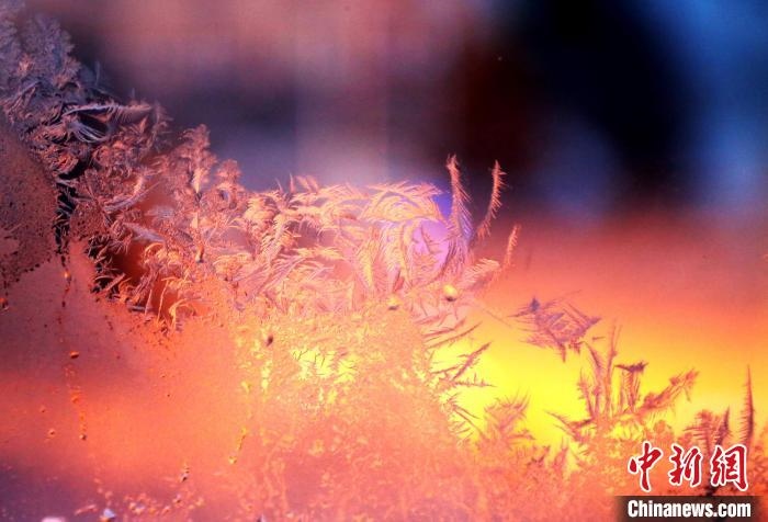 迎著光亮，冰窗花絢麗多姿?！O書程 攝