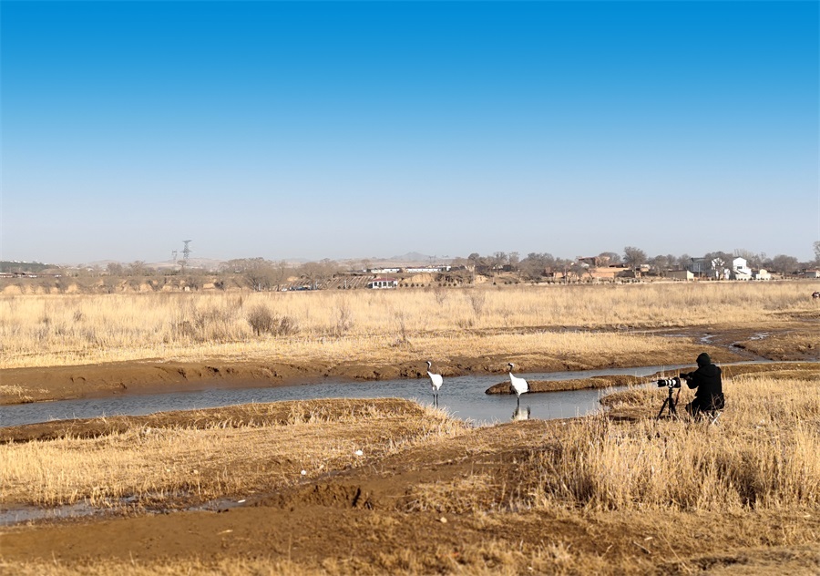 悠閑地享受著人間煙火氣息，卻又不失仙氣飄飄.jpg