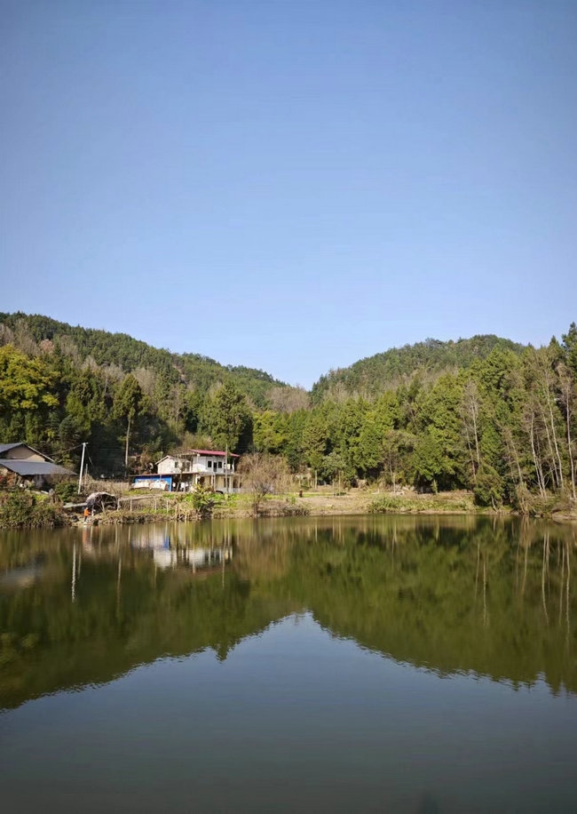這樣在對面看，老家也算依山傍水.jpg