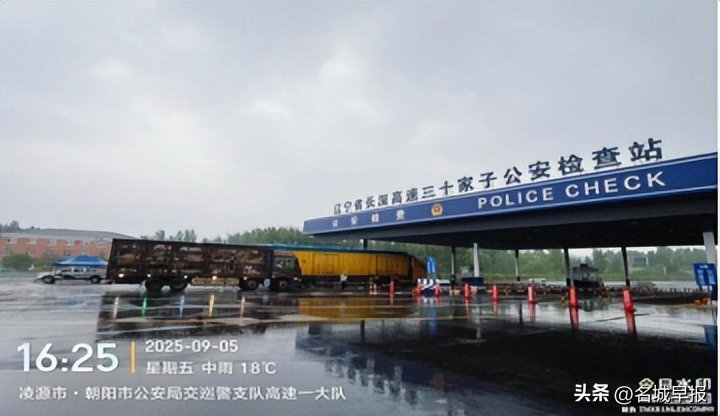 生豬3.jpeg