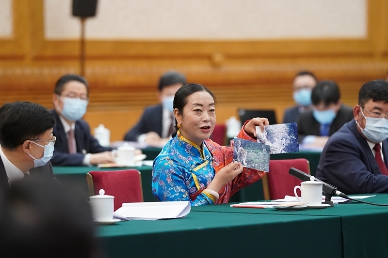 2021年3月7日，習(xí)近平總書記在參加十三屆全國人大四次會議青海代表團審議時，全國人大代表孔慶菊在會上展示了兩張照片，上面分別是祁連山地區(qū)多年不見蹤跡的雪豹和荒漠貓。