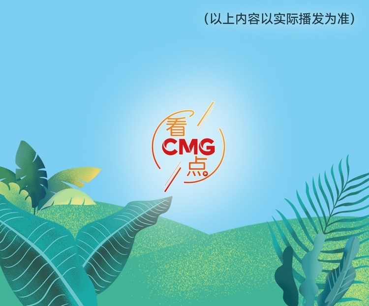 總臺(tái)周看點(diǎn)，來了！