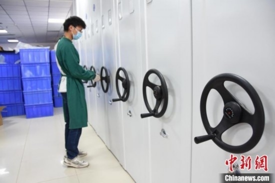 圖為鄭州大學(xué)人骨考古實(shí)驗(yàn)室內(nèi)的骨骼標(biāo)本庫。王宇 攝