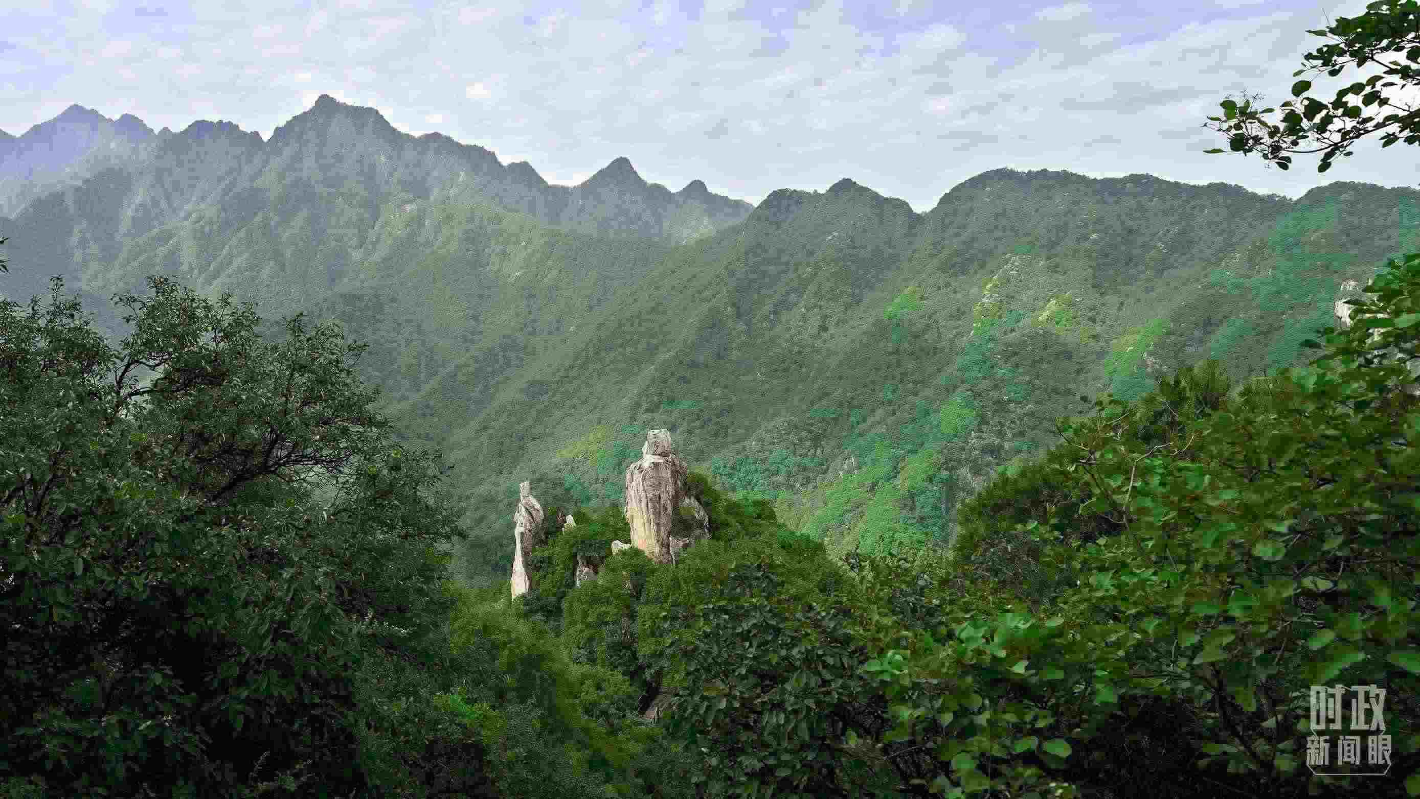 △秦嶺。（圖／視覺中國）