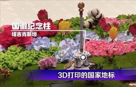 時(shí)政微觀察丨石榴花開(kāi)的時(shí)節(jié)