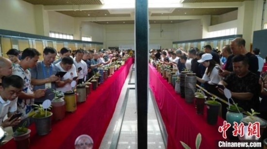 圖為活動(dòng)現(xiàn)場(chǎng)。 云南省委臺(tái)辦供圖