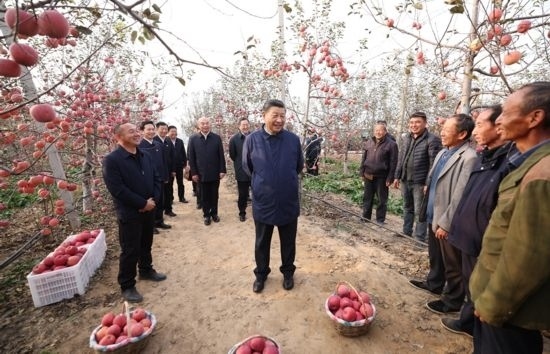 2022年10月26日，習(xí)近平總書記在陜西省延安市安塞區(qū)高橋鎮(zhèn)南溝村蘋果園同老鄉(xiāng)們親切交流。