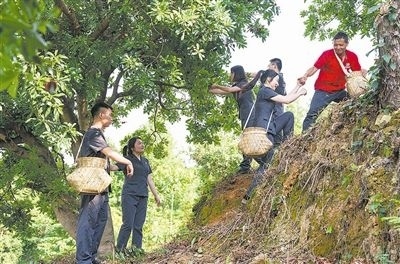 村民幫助志愿者爬上山坡。