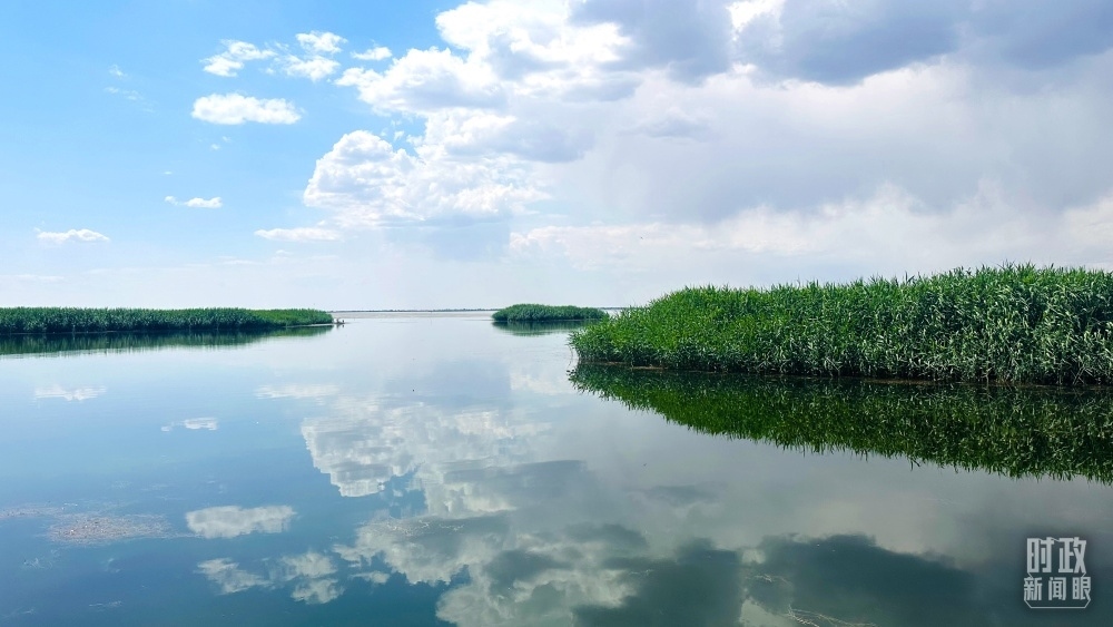 內(nèi)蒙古烏梁素海，是黃河流域最大的湖泊濕地。（總臺央視記者范一鳴拍攝）