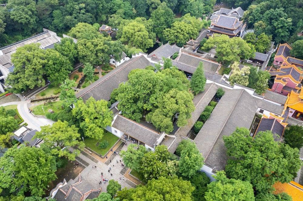這是2023年6月8日在長沙市岳麓區(qū)拍攝的岳麓書院（無人機照片）。新華社記者 陳思汗 攝