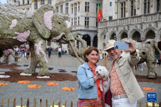 8月11日，觀眾在比利時布魯塞爾“鮮花時光”展覽上拍照。新華社記者 趙丁喆攝