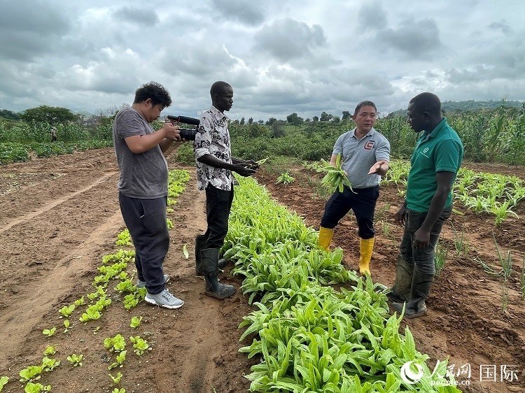 人民網(wǎng)記者走進(jìn)尼日利亞農(nóng)業(yè)技術(shù)示范中心。人民網(wǎng)記者 趙艷紅攝