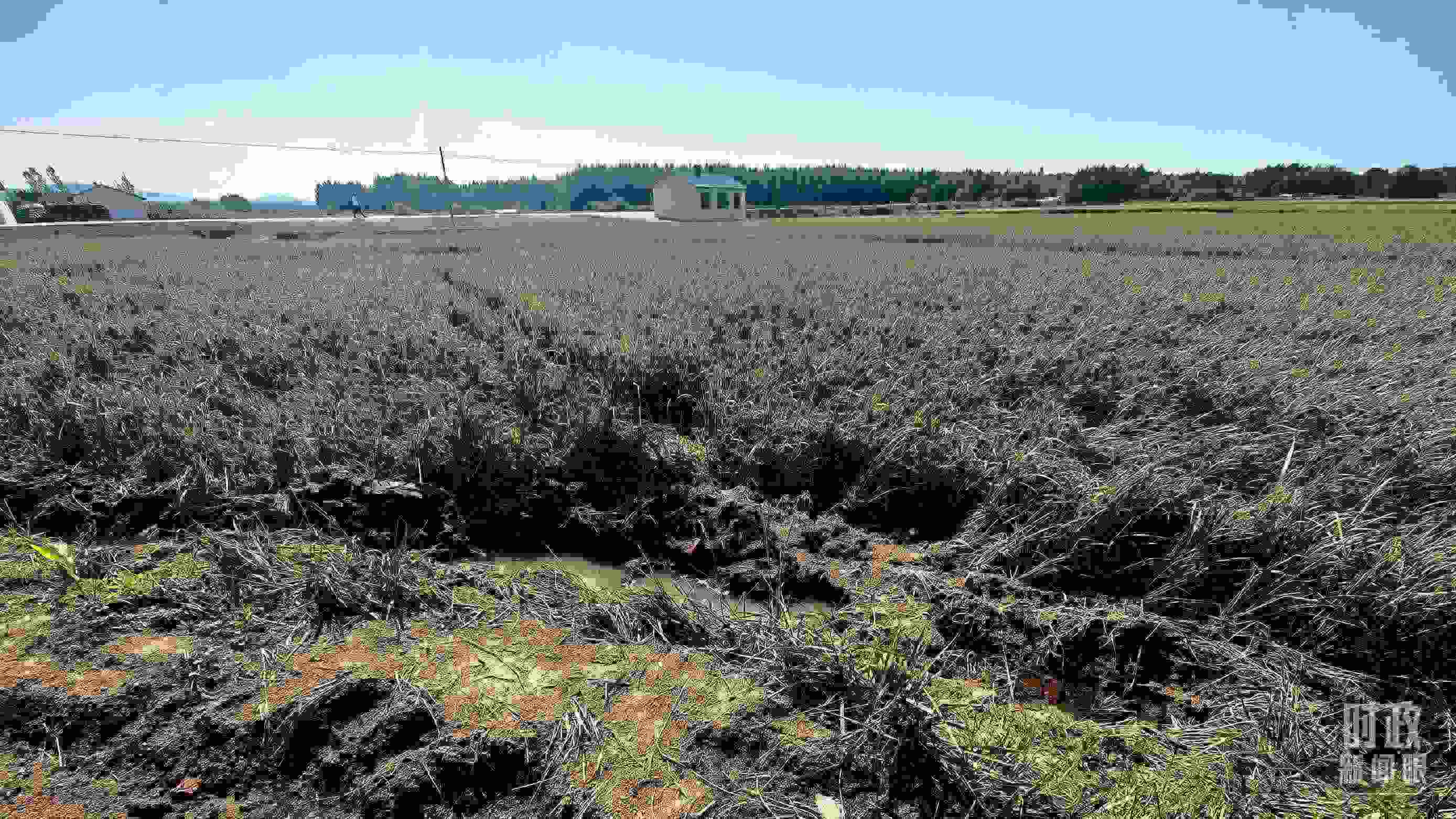 △圖為龍王廟村在洪災(zāi)中受損的農(nóng)田。（總臺(tái)央視記者史偉拍攝）