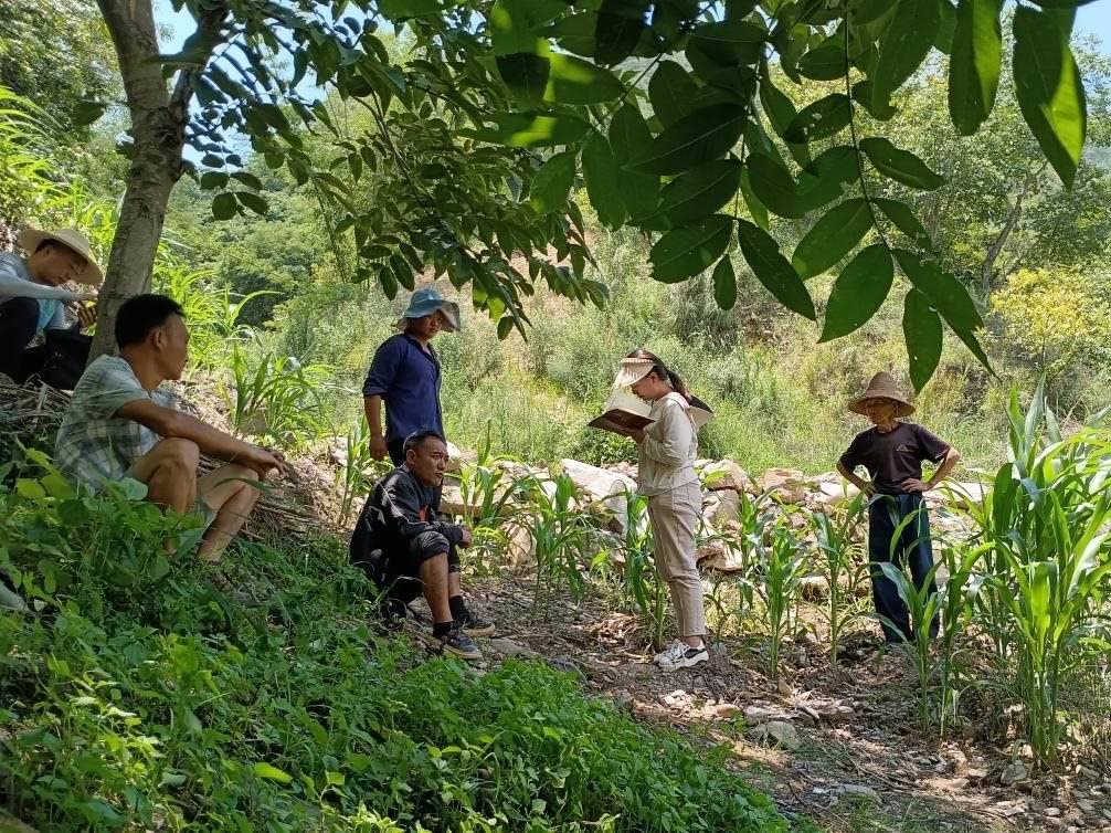 2023年7月18日，兩家村民發(fā)生土地方面的糾紛，李江女（右二）在記錄情況。受訪者供圖