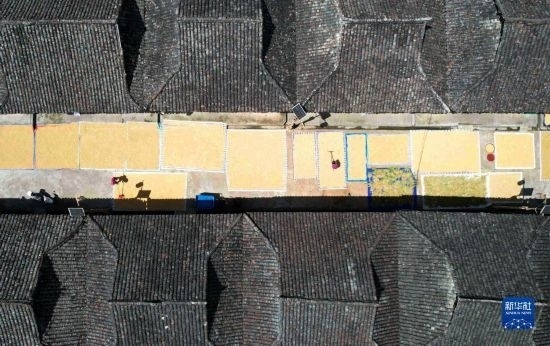 9月16日，在貴州省黔東南苗族侗族自治州從江縣加勉鄉(xiāng)污扣村，村民在晾曬稻谷（無人機(jī)照片）。