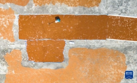 9月16日，農(nóng)民在貴州省安順市西秀區(qū)大西橋鎮(zhèn)吉昌村晾曬高粱（無人機(jī)照片）。