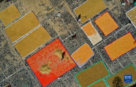 9月16日，貴州省黔東南苗族侗族自治州丹寨縣南皋鄉(xiāng)石橋村村民在晾曬農(nóng)作物（無人機(jī)照片）。