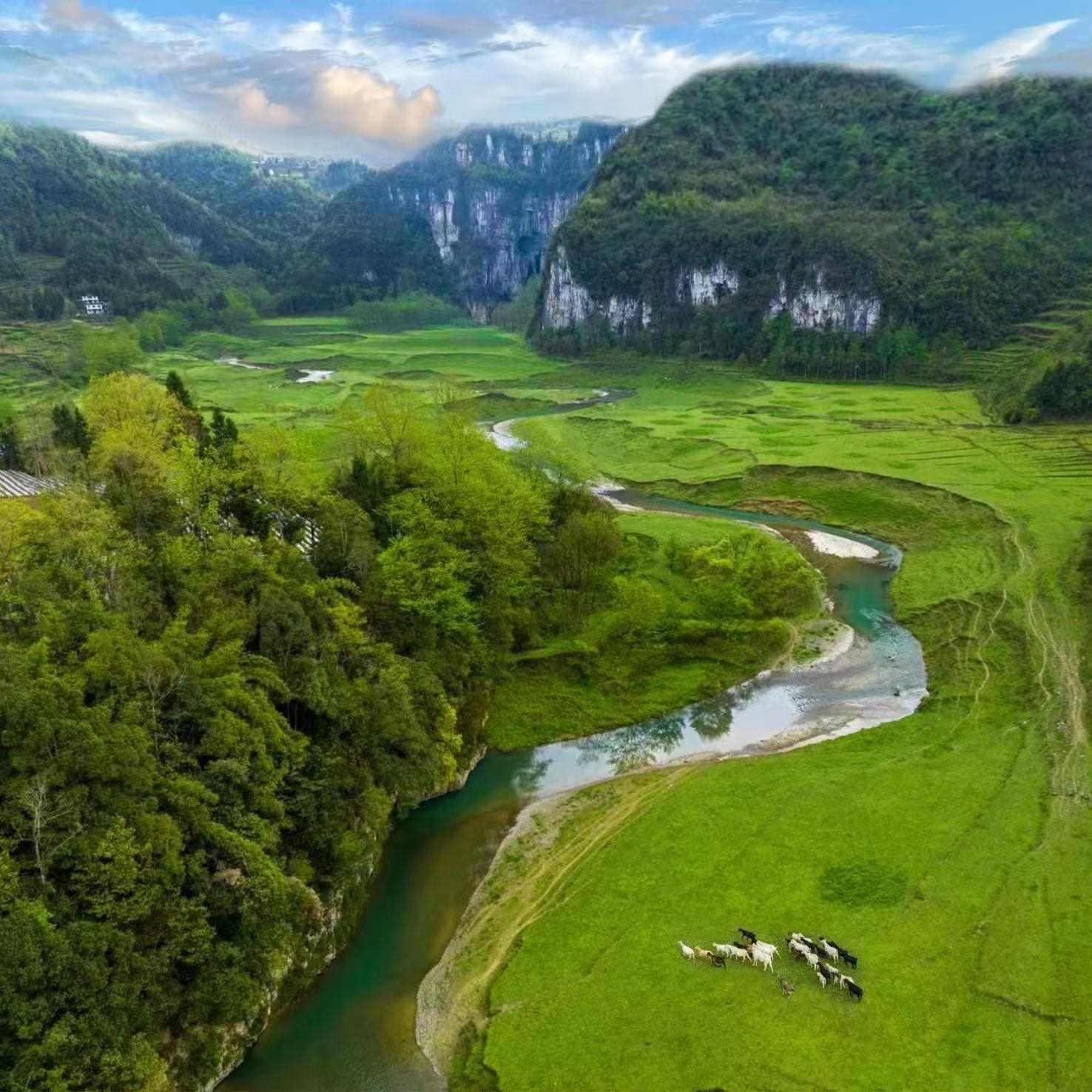 棣棠鄉(xiāng)龍氼孔千畝大草原自駕露營(yíng)基地。棣棠鄉(xiāng)人民政府供圖