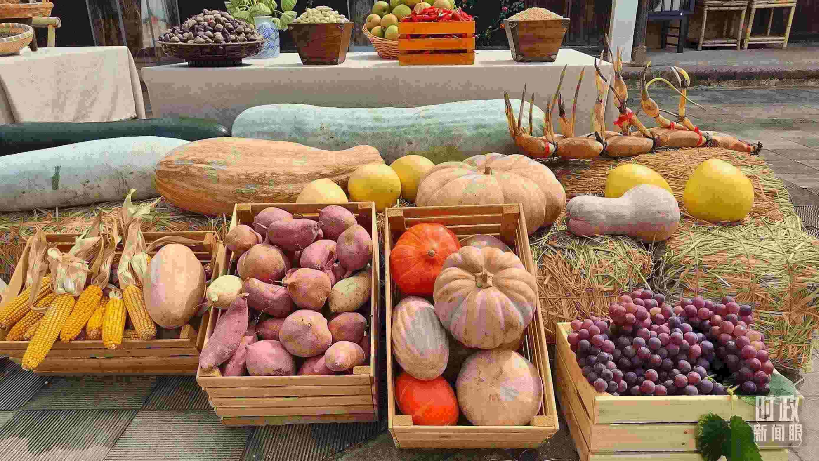 △村廣場“共富市集”，擺放著種類豐富的特色農產(chǎn)品。（總臺央視記者楊立峰拍攝）