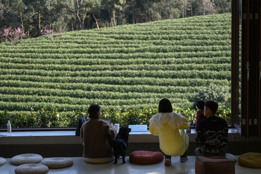 游客在浙江省安吉縣黃杜村萬畝茶園邊的咖啡館休閑（2023年2月21日攝）。