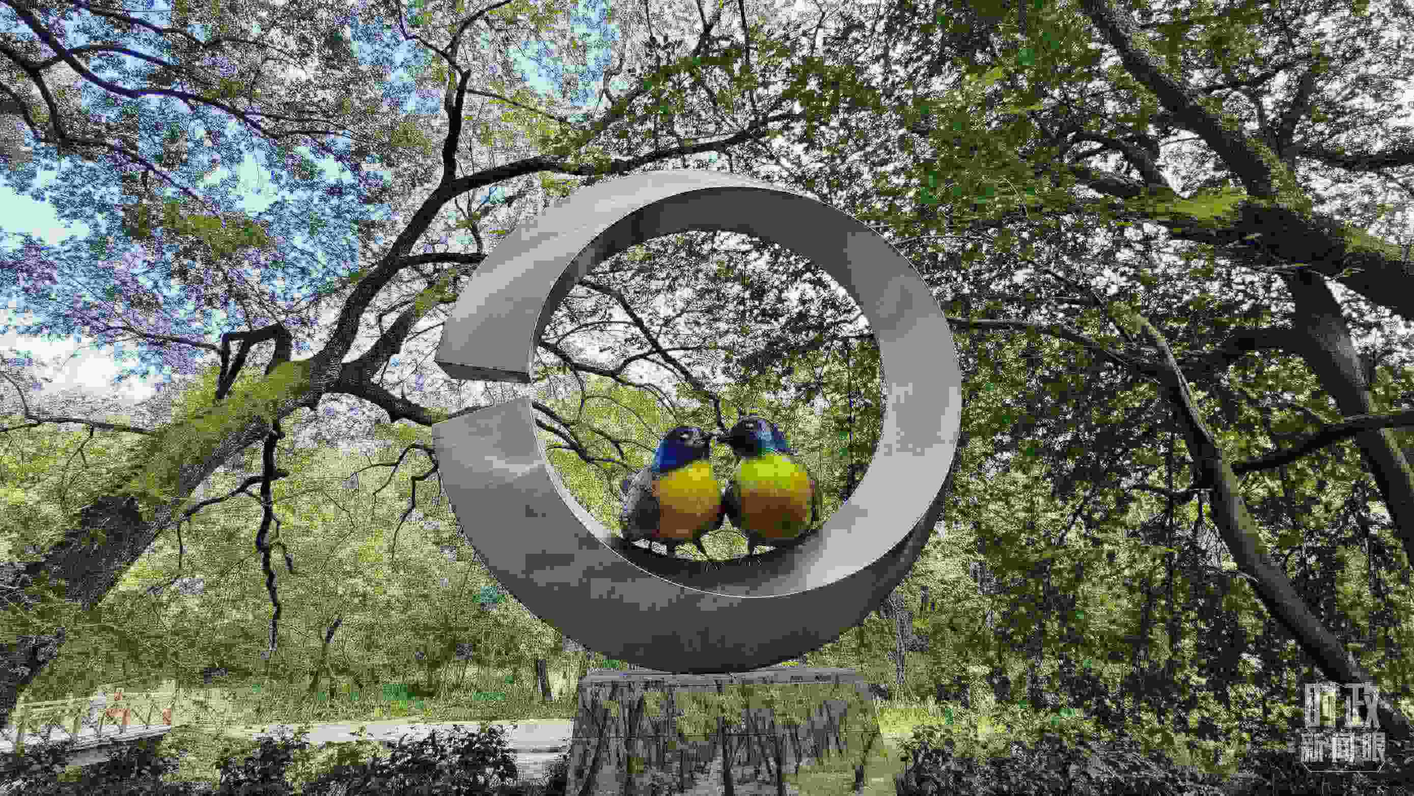 △石門村里的藍冠噪鹛雕像。（總臺央視記者許永松拍攝）