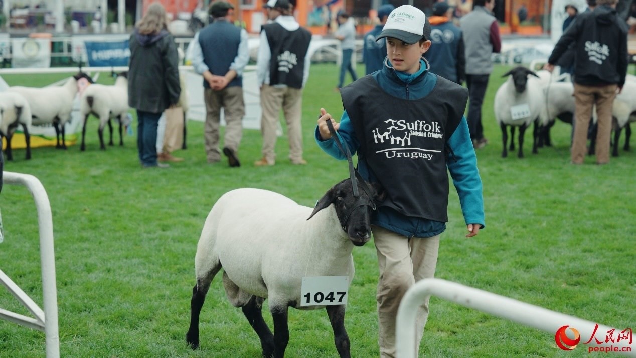 烏拉圭第118屆普拉多牧農(nóng)業(yè)國(guó)際博覽會(huì)現(xiàn)場(chǎng)。人民網(wǎng)記者 張若涵攝