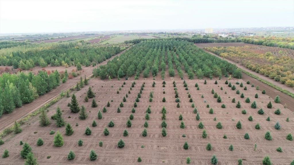 這是2023年9月11日在哈薩克斯坦首都阿斯塔納拍攝的一處植物種質(zhì)資源苗圃（無人機(jī)照片）。新華社發(fā)（法爾哈特·圖克諾夫 攝）