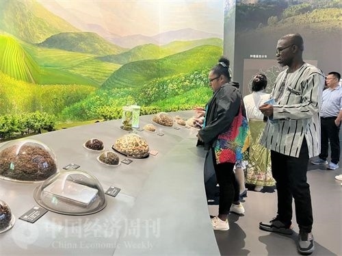  （在中國藥都中醫(yī)藥博物館，外媒記者了解中醫(yī)藥發(fā)展史。中國經(jīng)濟(jì)周刊記者 郭志強(qiáng) 攝）