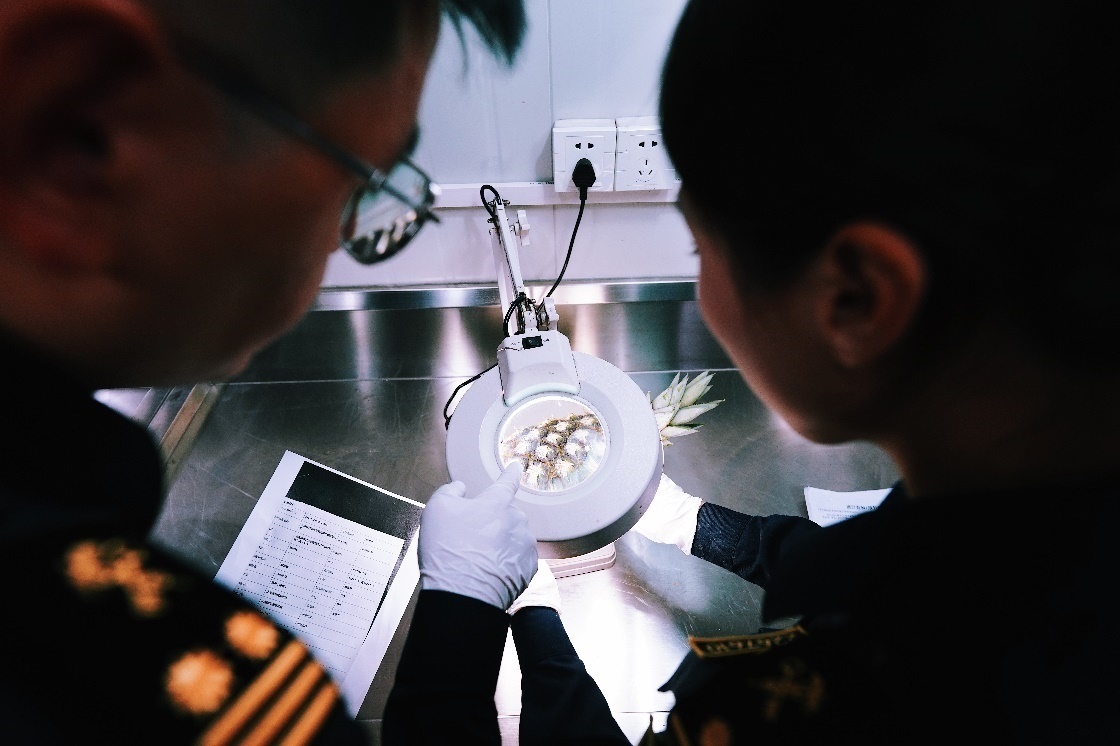 上海海關(guān)關(guān)員針對(duì)檢疫性有害生物和農(nóng)藥殘留進(jìn)行檢疫檢驗(yàn)。陳興洲攝