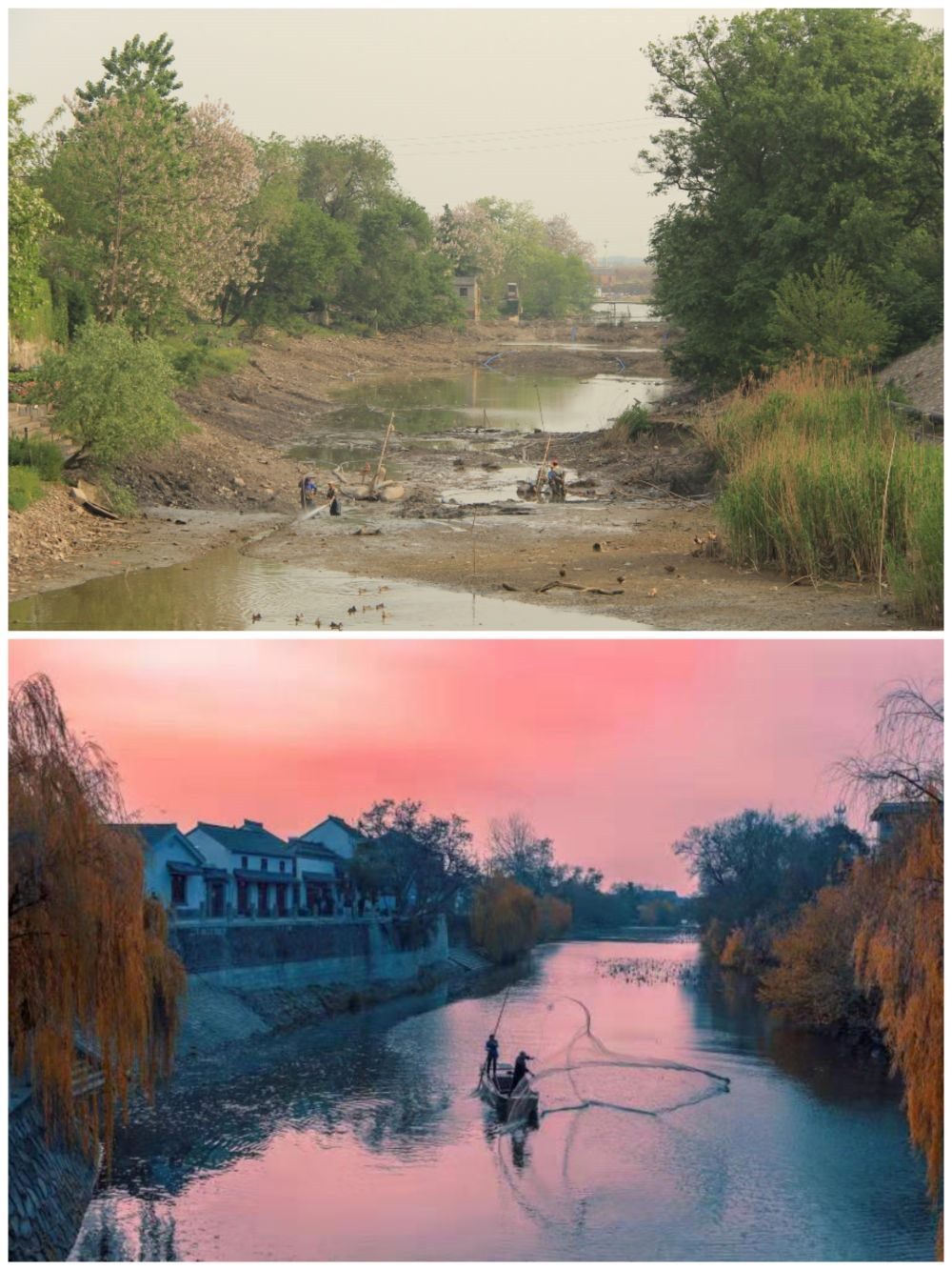 江蘇省揚(yáng)州市江都區(qū)明清運(yùn)河故道整治前后。（上圖：2012年；下圖：2020年）（孫友定 攝）