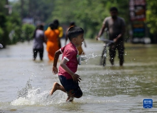11月24日，一名男孩在斯里蘭卡加姆珀哈涉水出行。新華社發(fā)（阿吉特·佩雷拉攝）