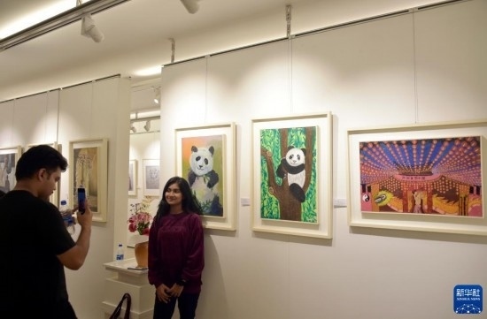 11月22日，在孟加拉國達(dá)卡，人們在“國家印象”繪畫展上參觀拍照。新華社發(fā)（薩利姆攝）