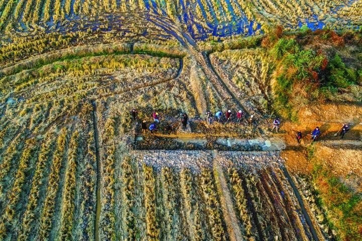 良渚遺址考古發(fā)掘現(xiàn)場(chǎng)。