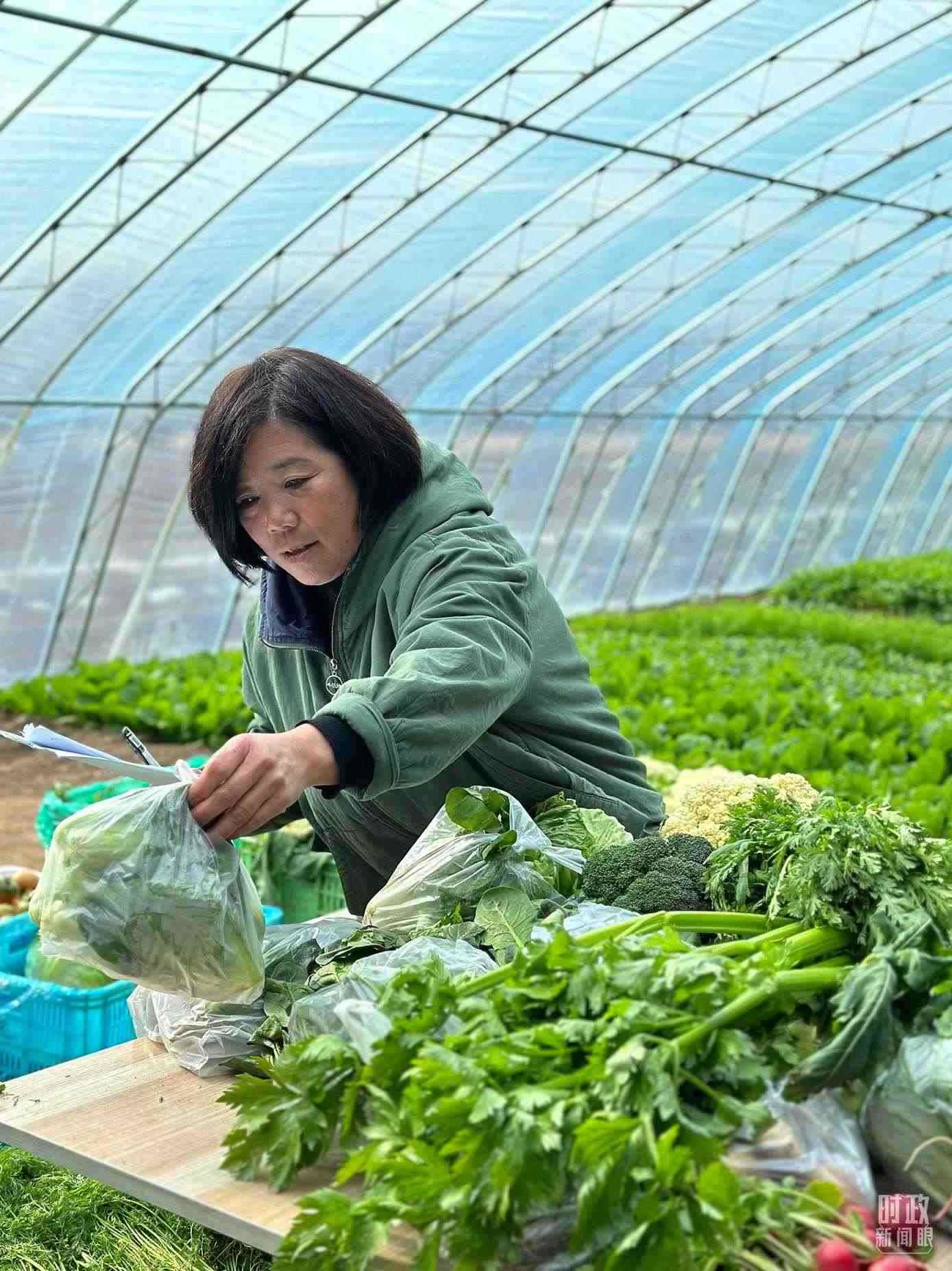 △第六埠村村民正在打包分裝蔬菜。（總臺央視記者盧心雨拍攝）