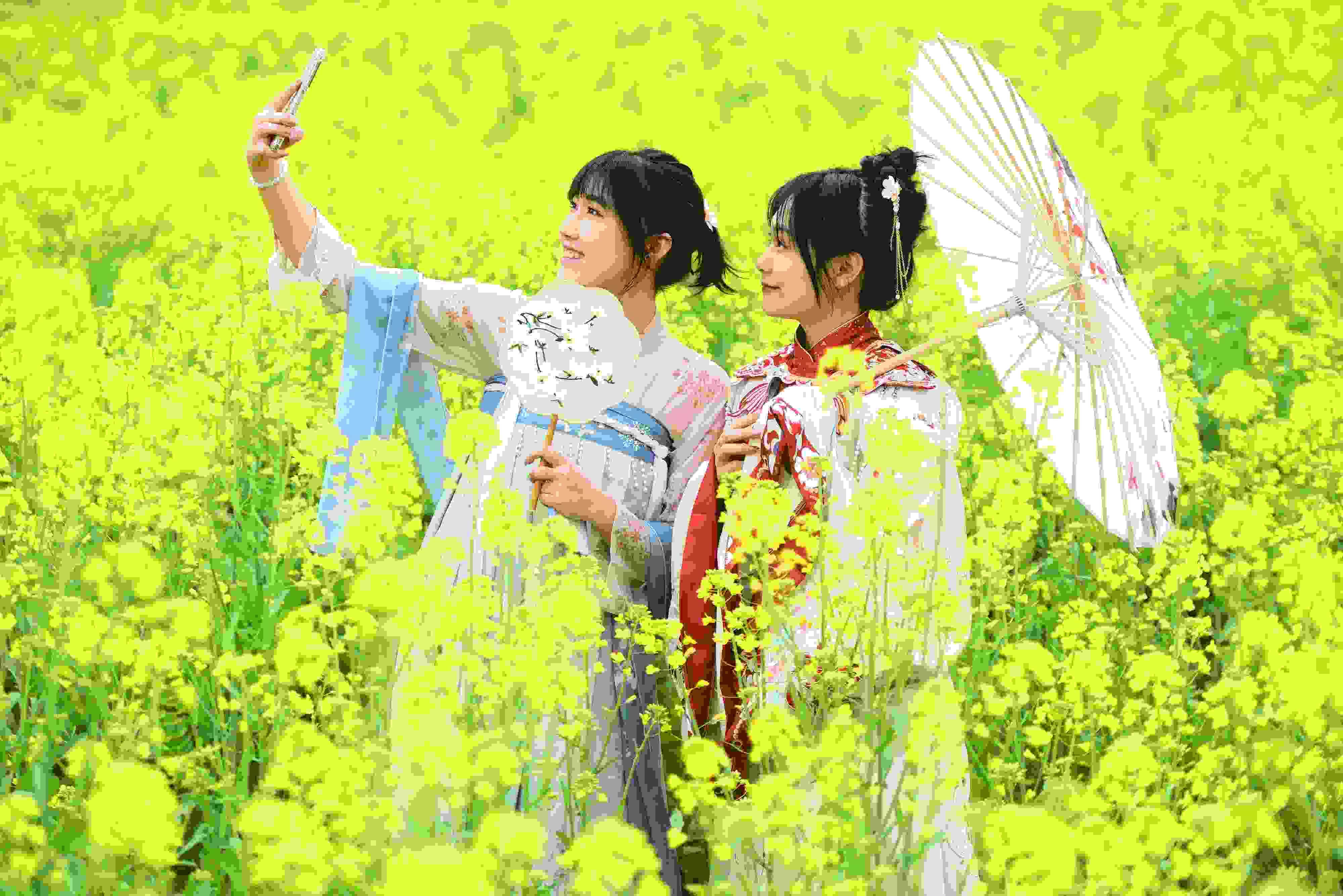 △ 2024年2月16日，廣西賀州，在富川瑤族自治縣麥嶺鎮(zhèn)三民村，游客在油菜花田間賞花拍照。