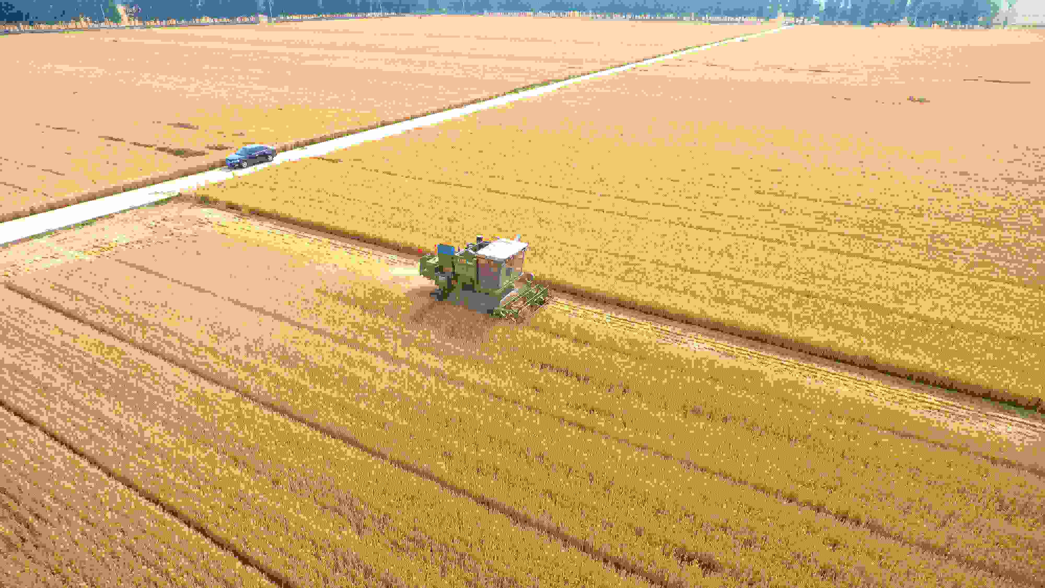 △ 2023年6月5日，山東聊城茌平區(qū)賈寨鎮(zhèn)王藥包村，收割機(jī)在田間進(jìn)行小麥?zhǔn)崭钭鳂I(yè)。