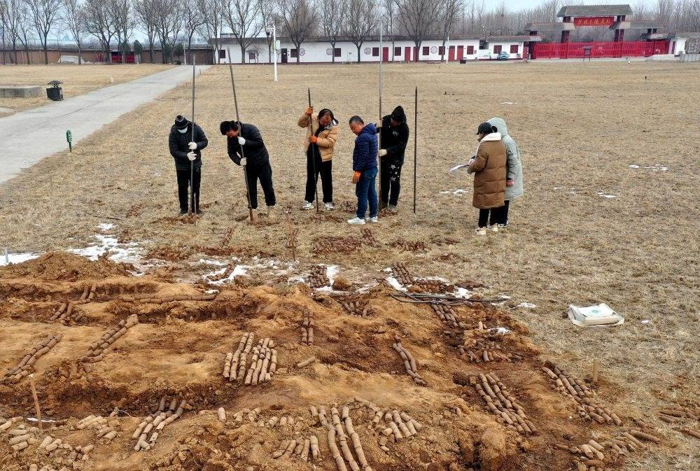 在殷墟王陵遺址，工作人員在勘探圍溝范圍（2月24日攝）。