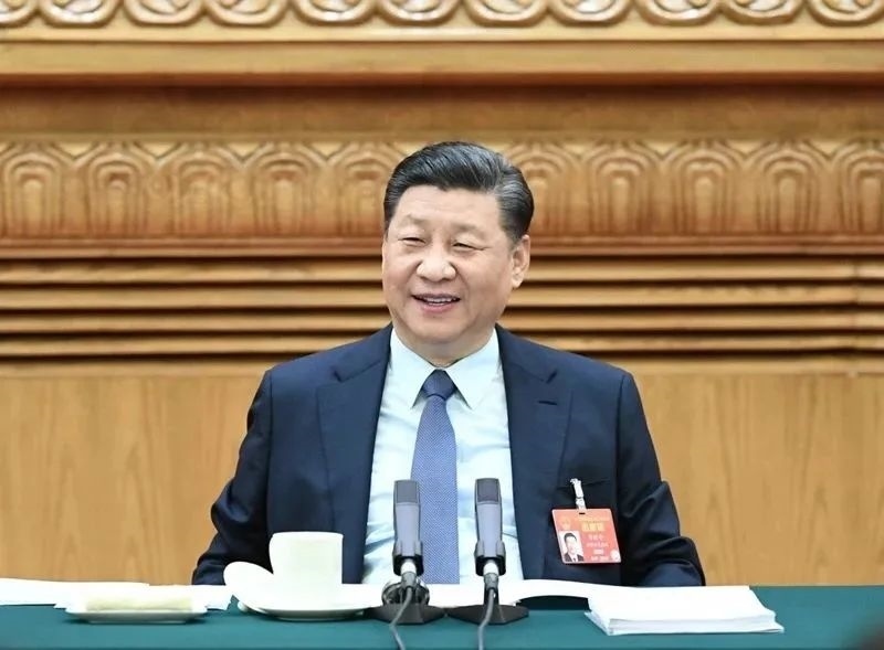 2019年3月8日，習(xí)近平參加十三屆全國(guó)人大二次會(huì)議河南代表團(tuán)的審議。新華社記者 謝環(huán)馳 攝