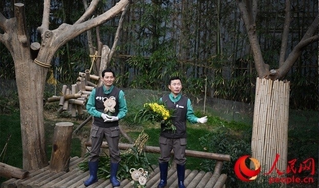 熊貓飼養(yǎng)員姜哲遠和宋永寬向媒體介紹為“福寶”準備的送別禮物。人民網(wǎng) 李帆攝