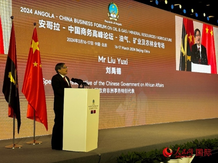中國政府非洲事務(wù)特別代表劉禹錫。人民網(wǎng)記者 張榮攝