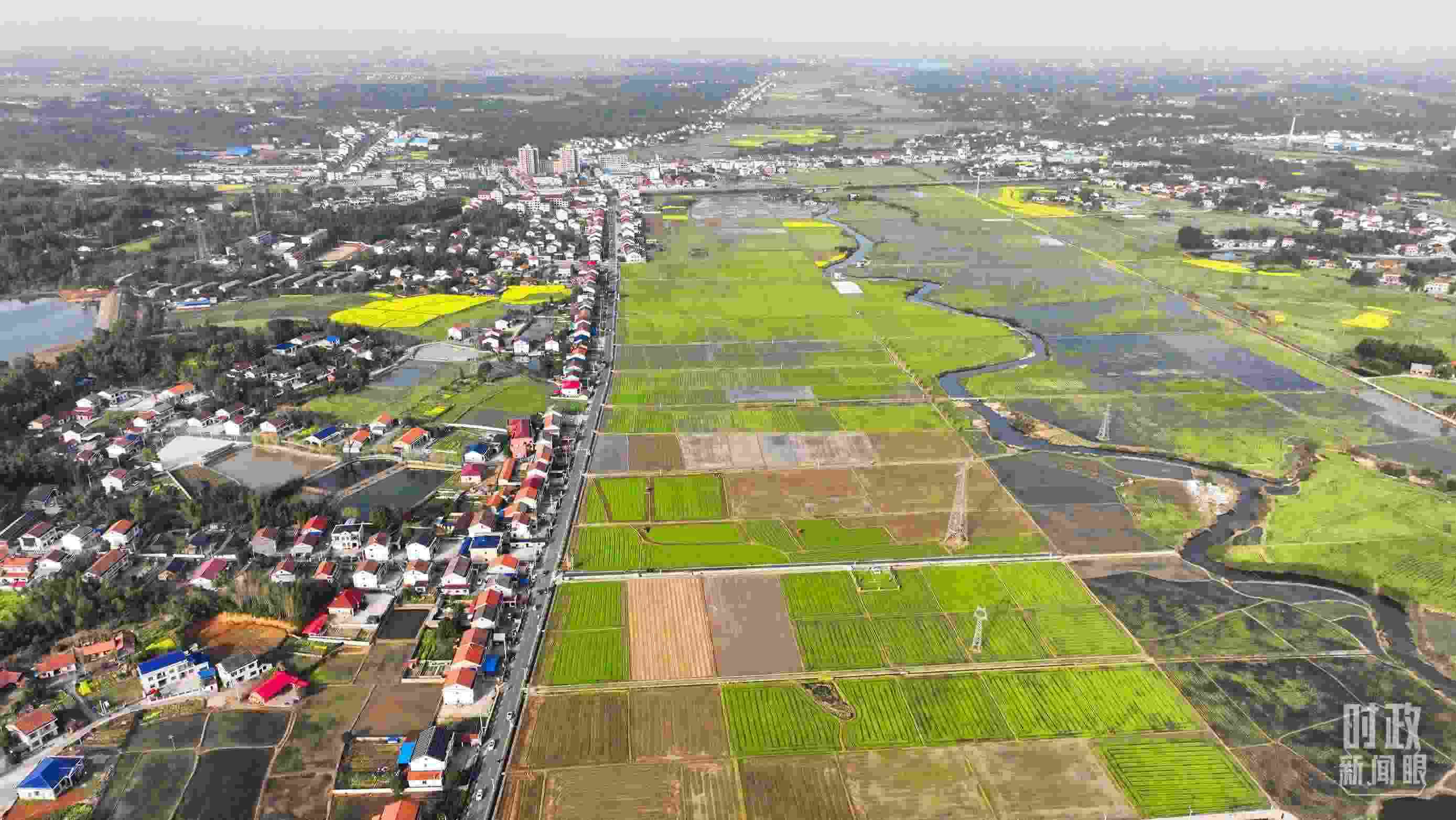 △俯瞰常德市謝家鋪鎮(zhèn)港中坪村。（總臺國廣記者李晉拍攝）