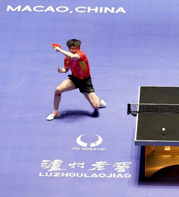 王楚欽在比賽中。賽事方供圖