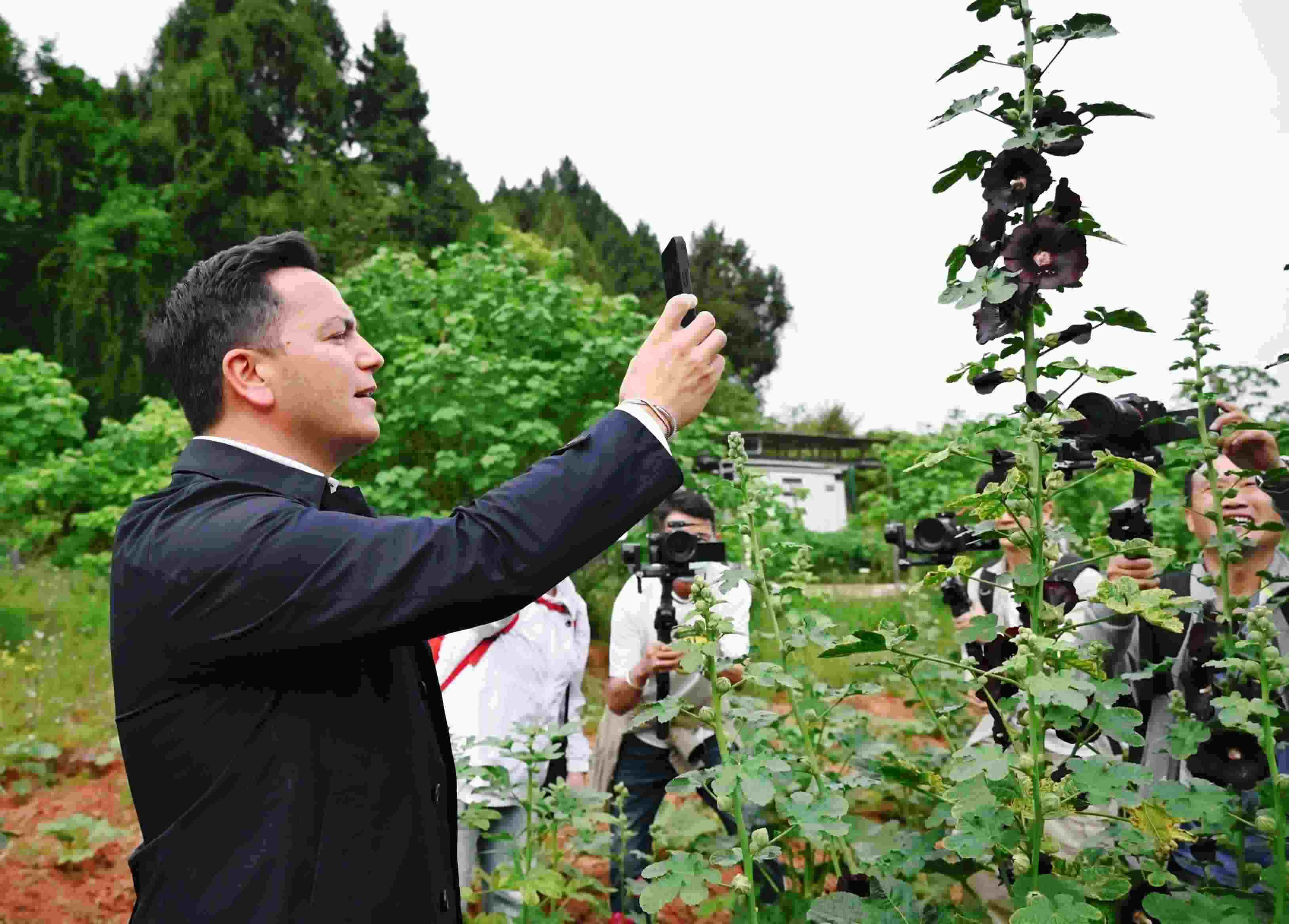  △2024年4月23日，國(guó)際園藝生產(chǎn)者協(xié)會(huì)主席萊昂納多·卡皮塔尼奧在成都市金堂縣鮮花山谷景區(qū)考察蜀葵產(chǎn)業(yè)。