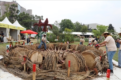 坎波·馬特活動現(xiàn)場。埃內(nèi)斯托·多明戈斯攝