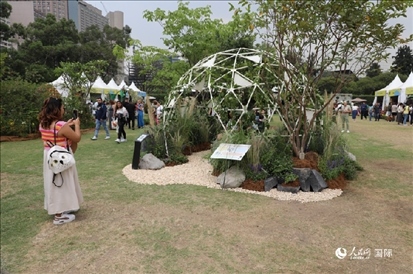 坎波·馬特活動現(xiàn)場。埃內(nèi)斯托·多明戈斯攝